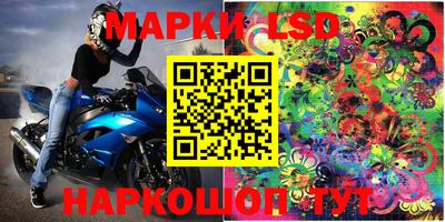 стаф Долгопрудный