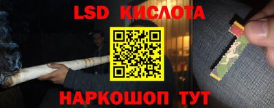 стаф Долгопрудный